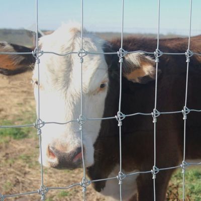 Precio barato con cerca caliente de la granja del campo de los ciervos del rollo de la malla de alambre de los proveedores de la fábrica de la venta