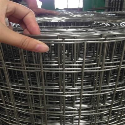 A prueba de óxido galvanizado 50 * 50mm alambre de malla soldada cerca de 1/4 de pulgada de agujero cuadrado de acero de malla soldada por fabricante precios al por mayor