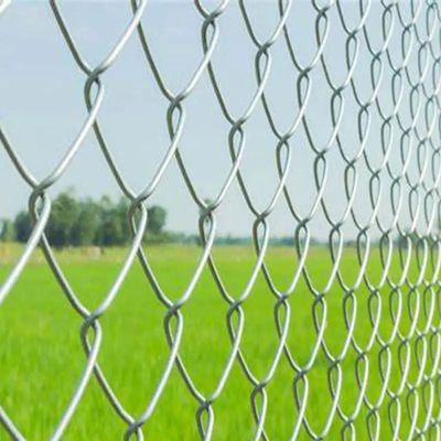 Altura 2,5 m Q195 Metal Galvanizado de la cadena de enlace de la cerca Selvage bordado con nudillos