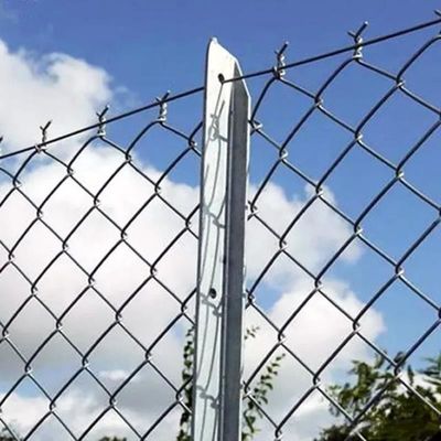 8 pies de altura galvanizado Chain Link cerco Zoo malla de alambre para todos los animales