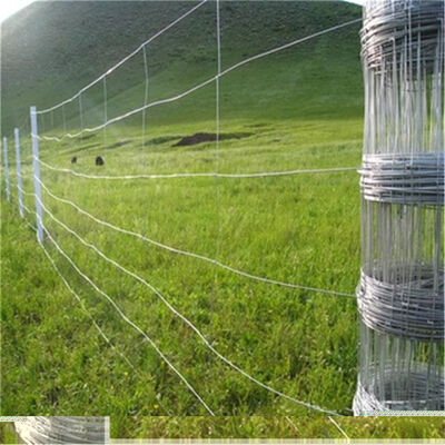Rejilla de alambre de hierro galvanizado duradero Rejilla moderna para patio y ganado de granja con marco metálico