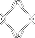 50x50mm de calentamiento sumergido galvanizado de la cadena de enlace de la cerca de tejido de cicl&oacute;n de alambre de red 1