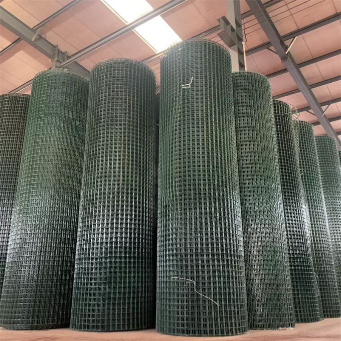 5 a 50 m de longitud BWG12 PVC rollo de malla de alambre soldado para jaulas de conejos 7