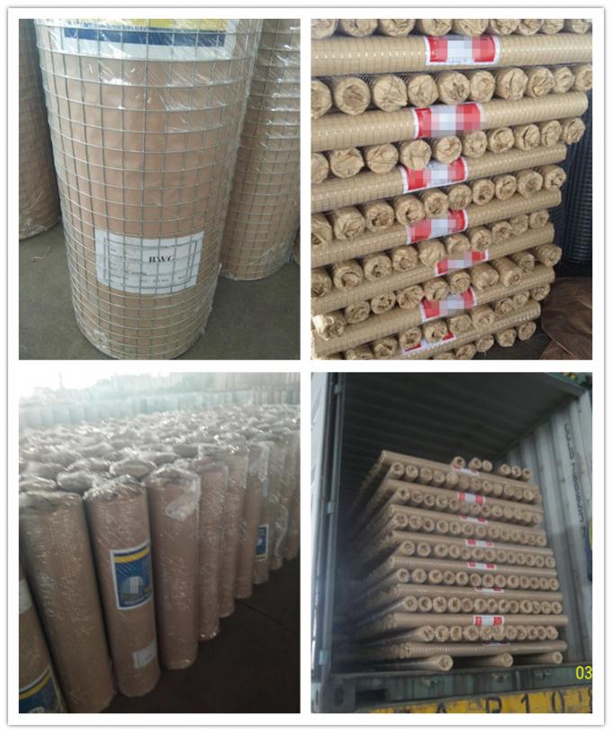 5 a 50 m de longitud BWG12 PVC rollo de malla de alambre soldado para jaulas de conejos 9